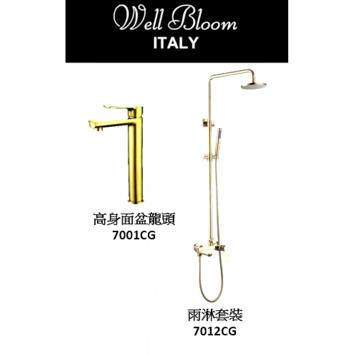 Well Bloom Italy 700CGSET2 700系列香檳金龍頭連雨淋套裝